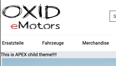 Twig child theme example