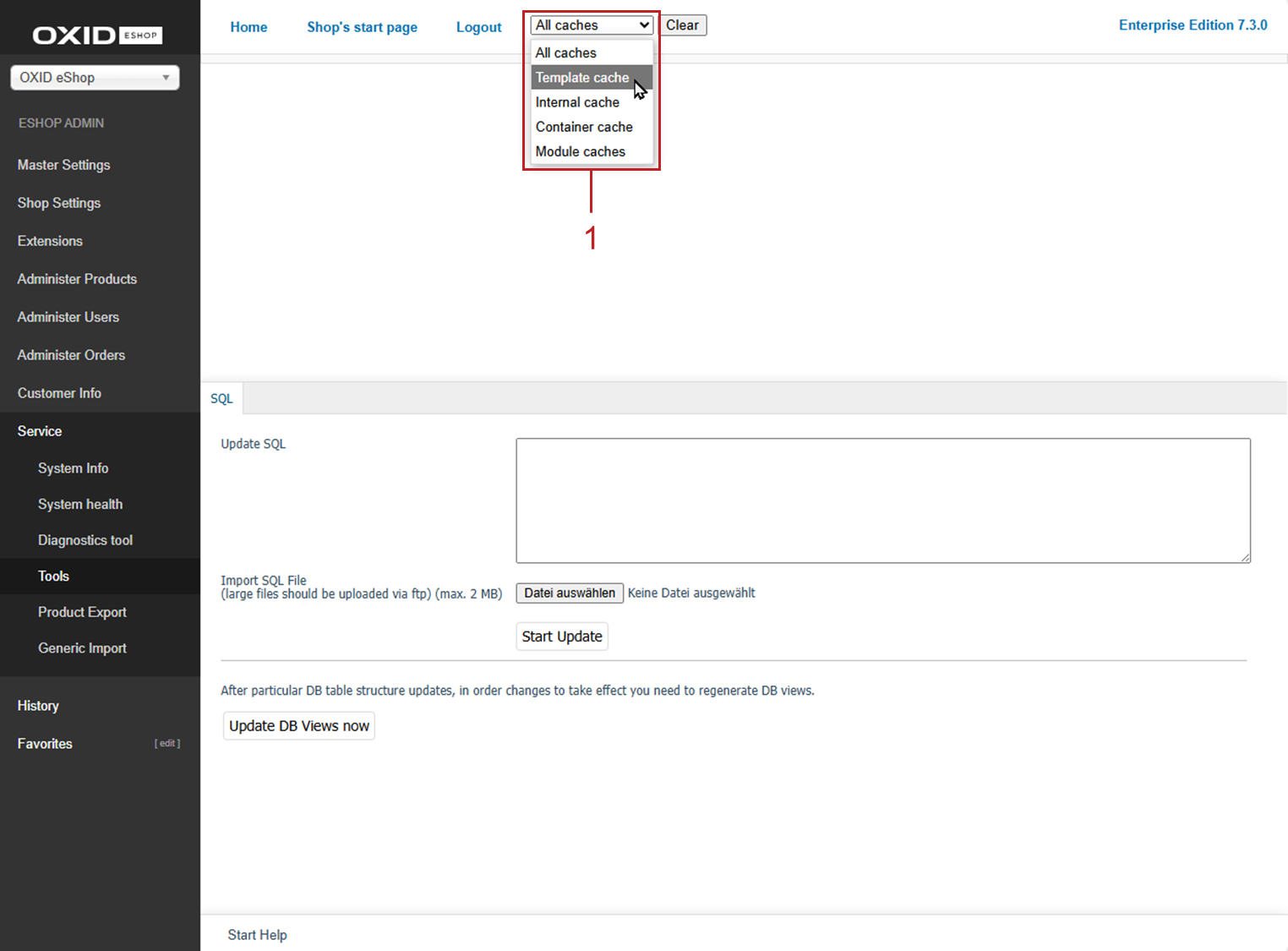 Clearing the cache manually