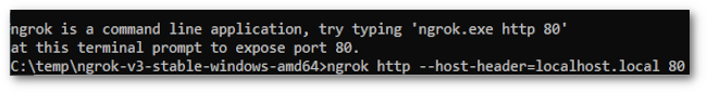 Generating a URL with NGROK