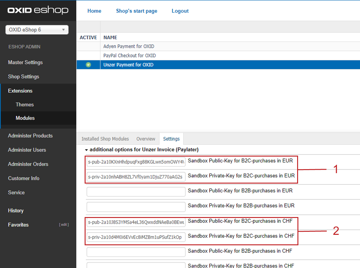 Entering key pairs for Unzer Invoice (Paylater)